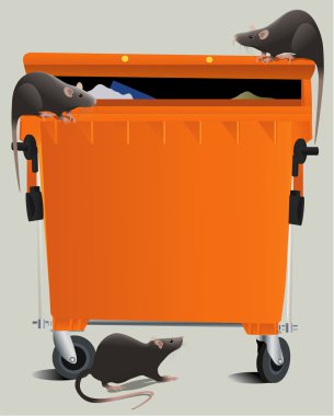 çöp dökümü fareler