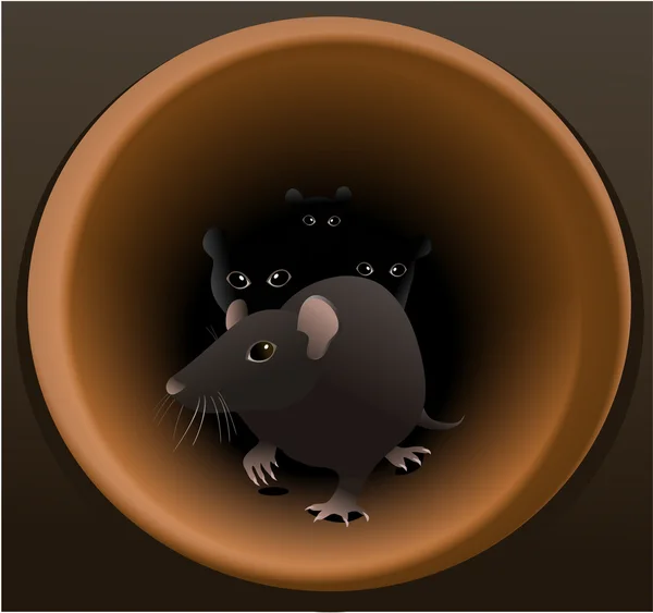 Ratas — Archivo Imágenes Vectoriales
