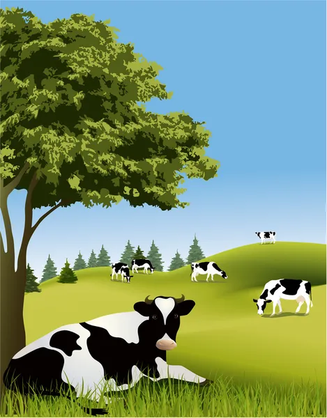 Vacas — Vector de stock