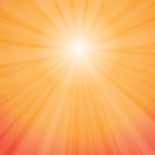 Sun Rays Vector — Stock Vector