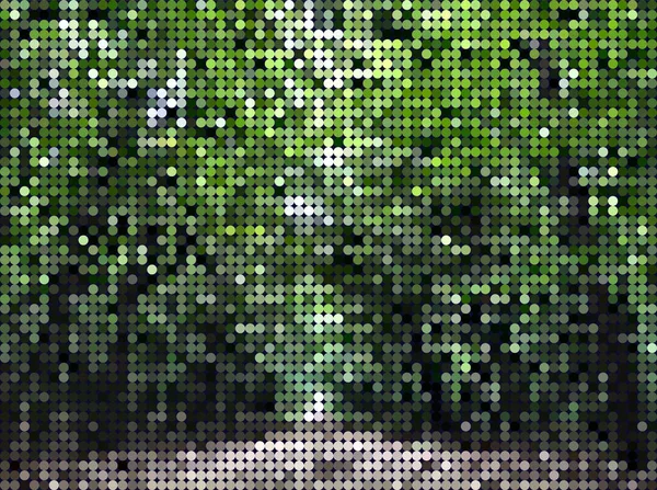 Pixelafbeelding Pad Woodland Abstract Design Sjabloon Bewerkbaar Vectorformaat — Stockvector