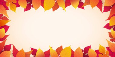 Renkli Sonbahar Yaprak Kalıpları Arkaplan Düzeni, Düşen Kırmızı, Altın ve Kahverengi Yapraklar Çerçevesi ile Reklam Tasarım Şablonu - Kopyalama Alanı, Odası, Metninize Yer