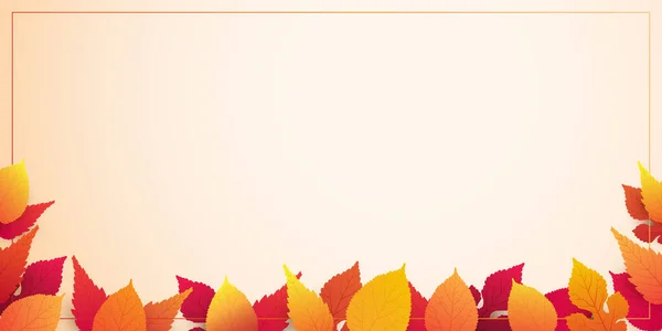 Bunte Herbst Blätter Muster Hintergrund Layout Werbedesign Vorlage Mit Rahmen — Stockvektor