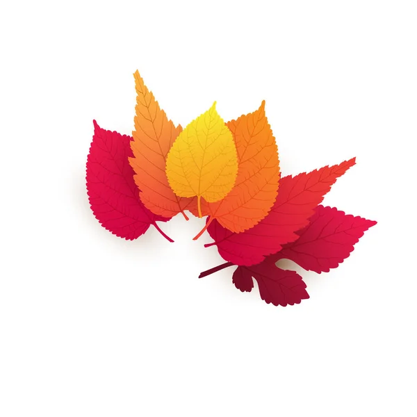 Red Brown Golden Autumn Fallen Tree Leaves Isolated White Background — 스톡 벡터