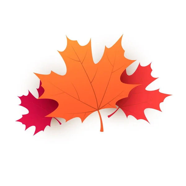 Red Brown Golden Autumn Fallen Maple Tree Leaves Isolated White — 스톡 벡터