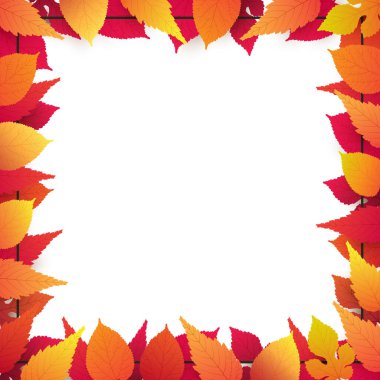 Renkli Sonbahar Yaprak Şablonu, Arkaplan Düzeni, Düşen Kırmızı, Altın ve Kahverengi Yaprakların Çerçevesi ile Reklam Tasarımı - Kopyalama Alanı, Odası, Metninize Yer