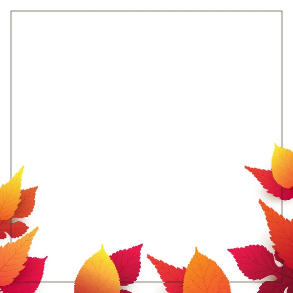 White Background Layout Colorful Autumn Leaves Advertising Design Template Frame — Stock Vector