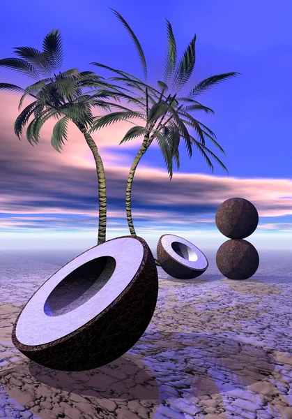 Palmas e coco — Fotografia de Stock