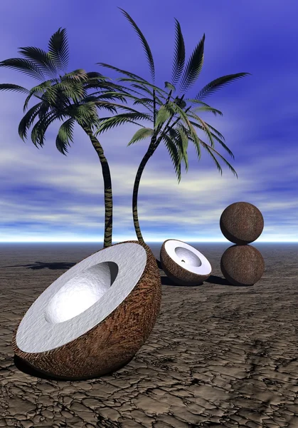 Palmer och kokos — Stockfoto