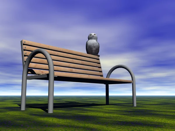 Bench and owl — Stock Photo, Image
