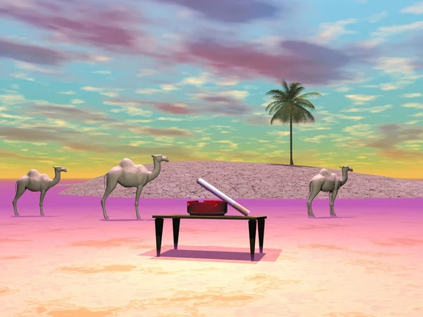 骆驼和天空 — 图库照片