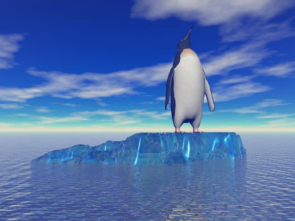Pinguïn en hemelsblauw — Stockfoto