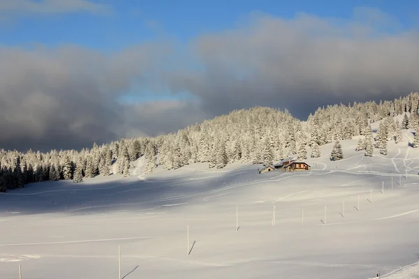 山和火树和雪 — 图库照片