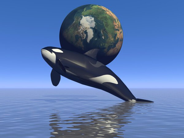 orca