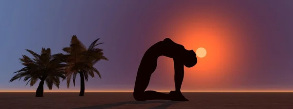 Palme e yoga — Foto Stock