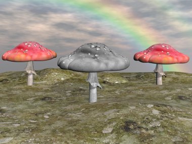 mushromms kırmızı ve hill