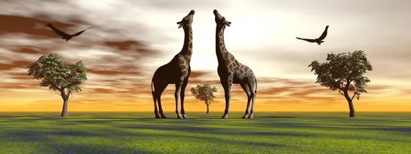 Girafa e pássaro e árvores — Fotografia de Stock