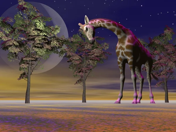 Giraffa e alberi e luna — Foto Stock