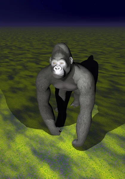 An irritated gorilla — Stock Photo, Image