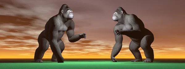 Zwei Gorillas, die bagarent — Stockfoto