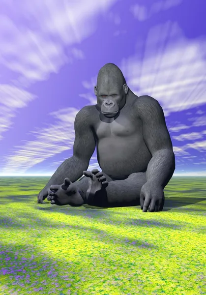 En gorilla i meditativa position och sky — Stockfoto