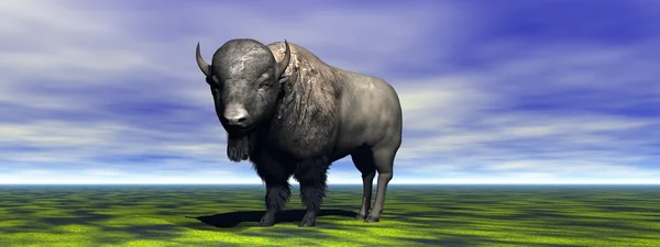 Bison... — Fotografia de Stock