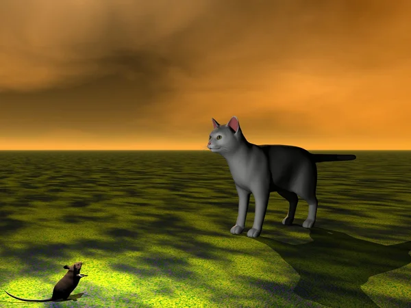 Maus schwarz und Katze grau — Stockfoto