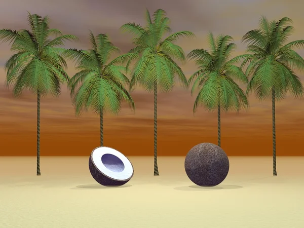 Coco och palmer — Stockfoto