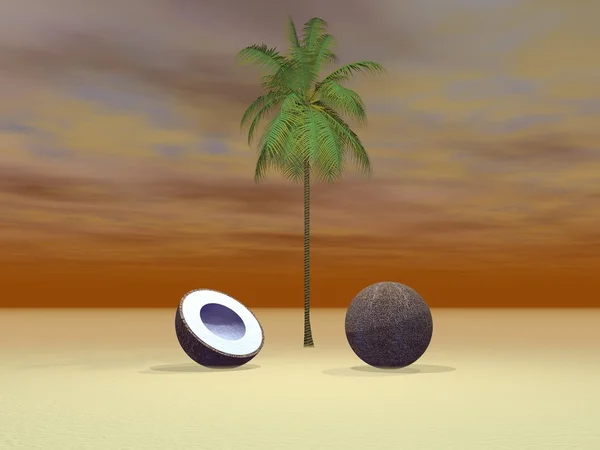 Cocco e palme — Foto Stock