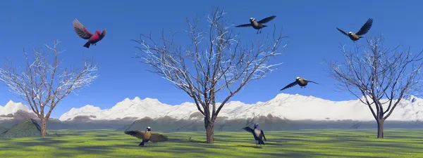 Aves e árvores e montanha — Fotografia de Stock