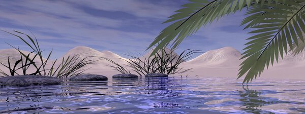 Дзен-камень
