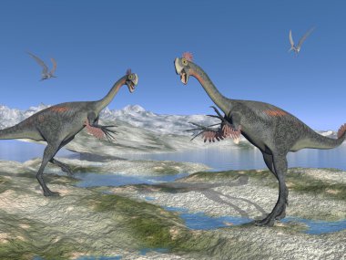iki gigantoraptor