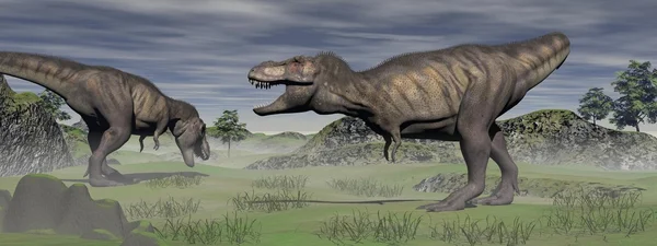 Zwei Tyrannosaurier — Stockfoto
