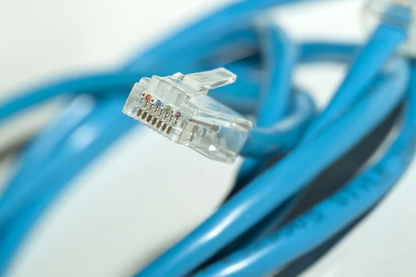 Blue network cable (shallow dof) — Stock Photo, Image