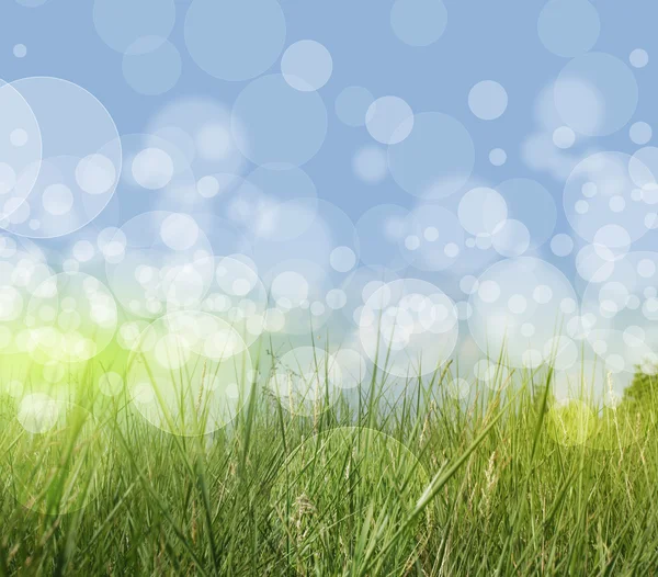 Primăvara sau vara rezumat sezon natura fundal cu iarbă și bokeh lumini . — Fotografie, imagine de stoc