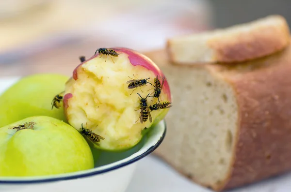 Wasps eating an apple — Stock Photo, Image