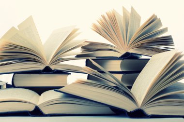 kitap portre