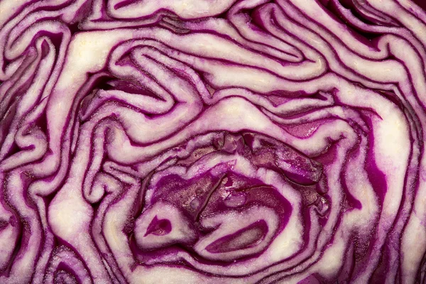 Cabbage cut — Stock Photo, Image
