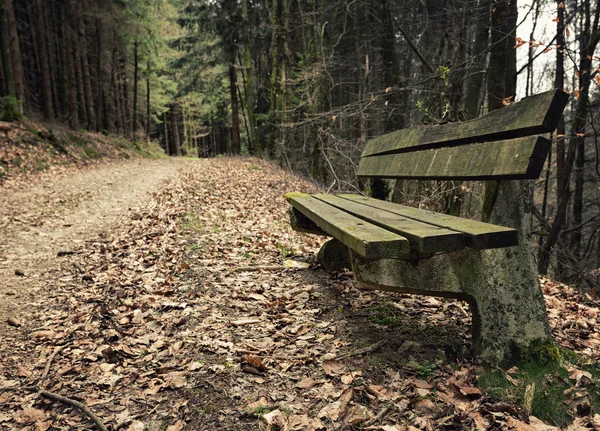 Adandoned Houten bench — Stockfoto