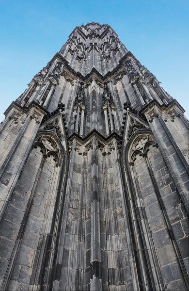 The cathedral of Cologne — Stock Photo, Image
