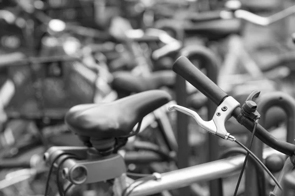 Cykel på en parkering — Stockfoto