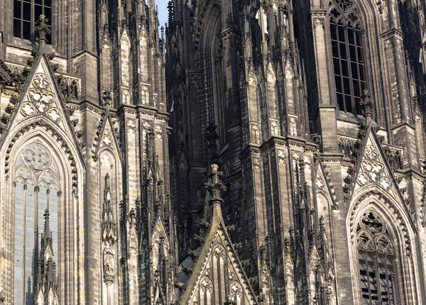 科隆大教堂katedralen i Köln — 图库照片