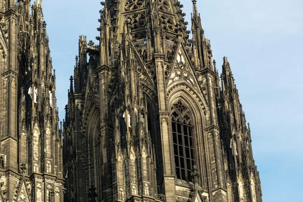 Köln Katedrali — Stok fotoğraf