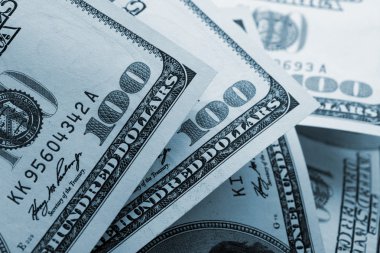 100 dolar faturaları