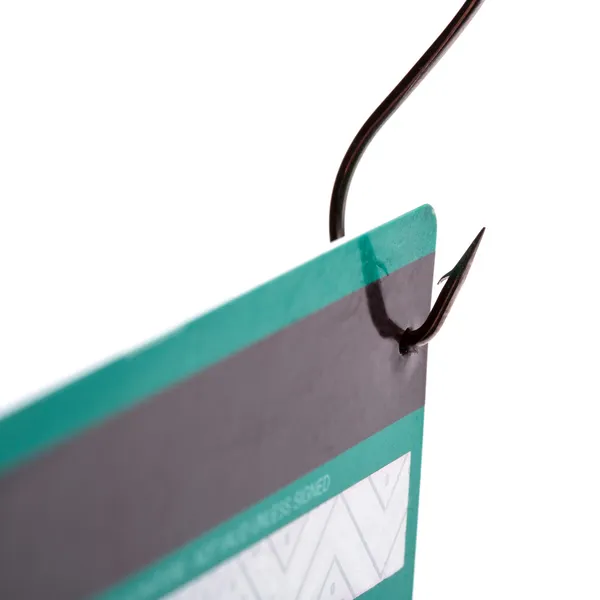 Kredi kartında bir balık kancası — Stok fotoğraf