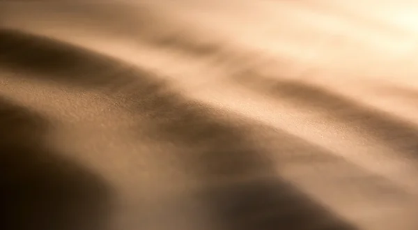 Sanddynerna i vinden — Stockfoto