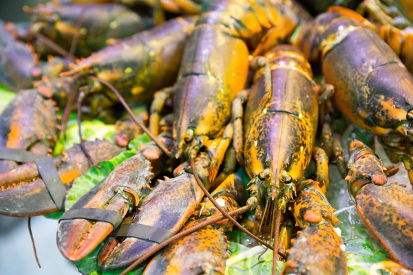 Fresh crayfishes — Stock Photo, Image