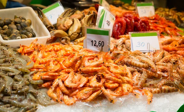 Assorted shrimps — Stock Photo, Image