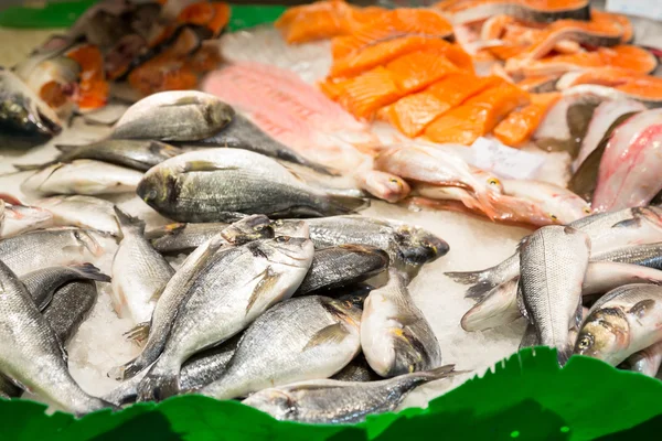 Assorted fish — Stock Photo, Image