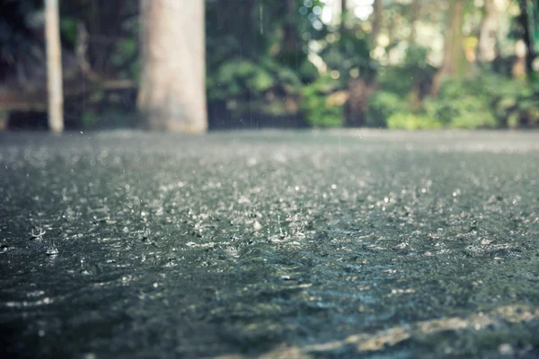 Chuva forte Imagens De Bancos De Imagens